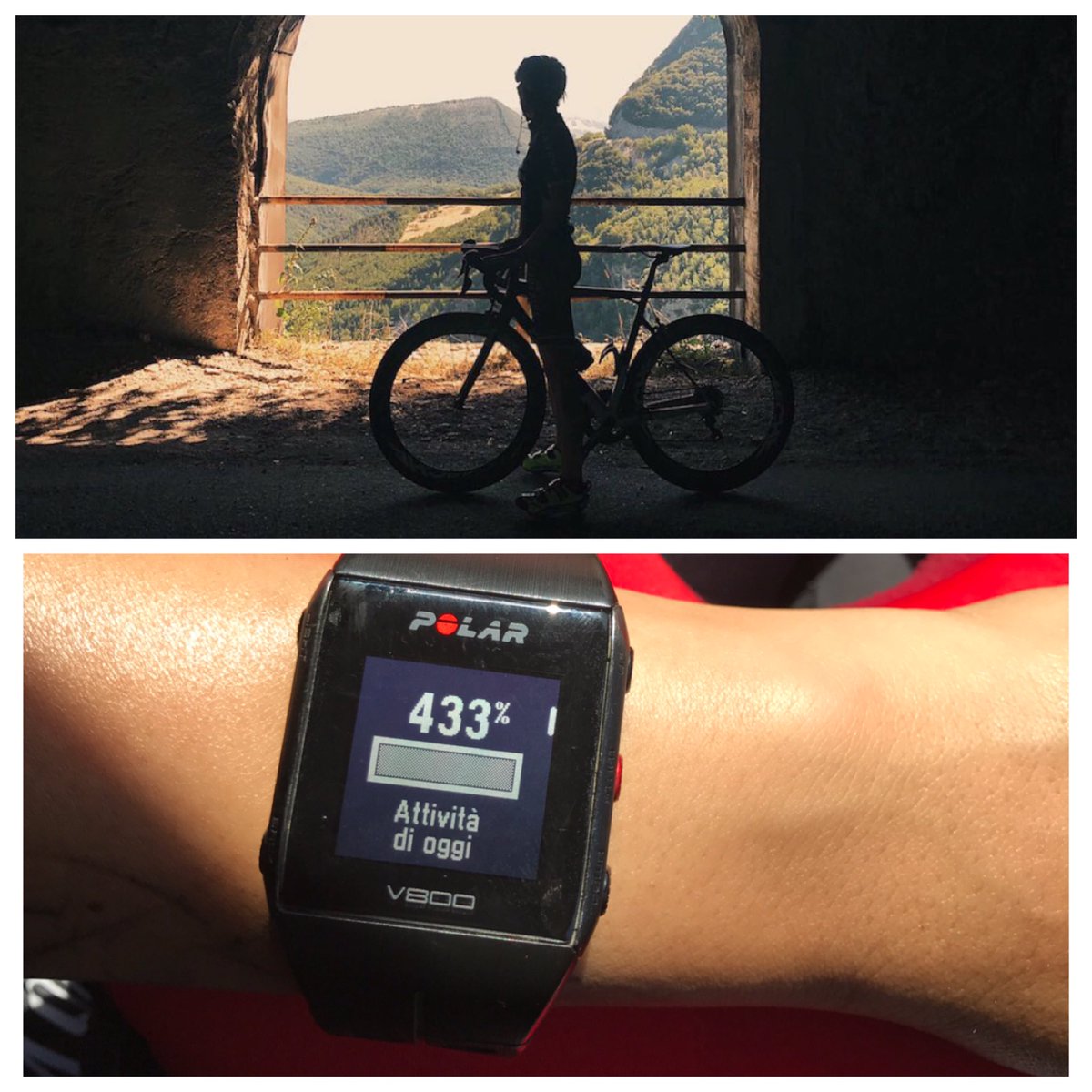 Elisabetta Marzetti tweet media