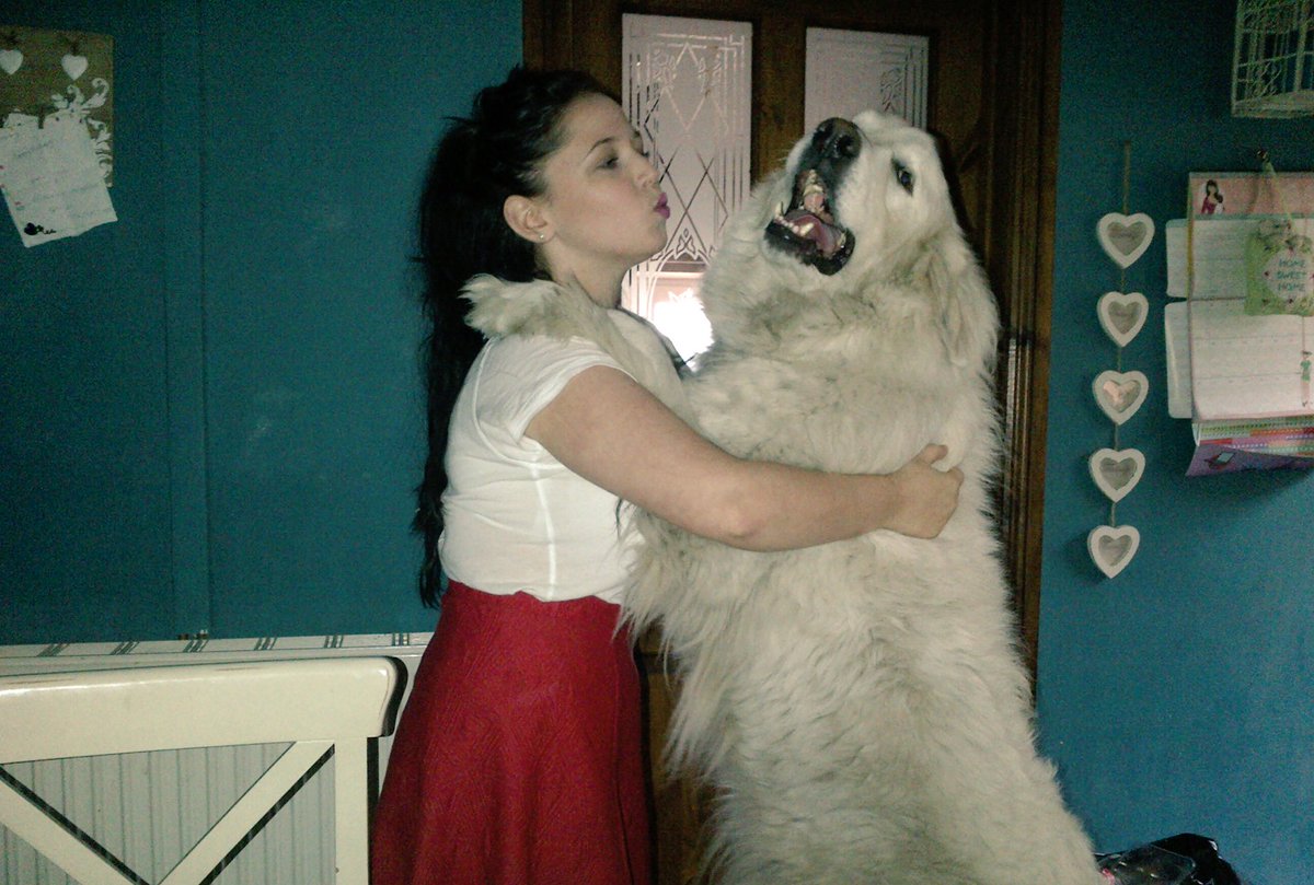 Carolin69829317's tweet photo. Always time for a kiss#love my dog https://t.co/Arqx8RjHVS