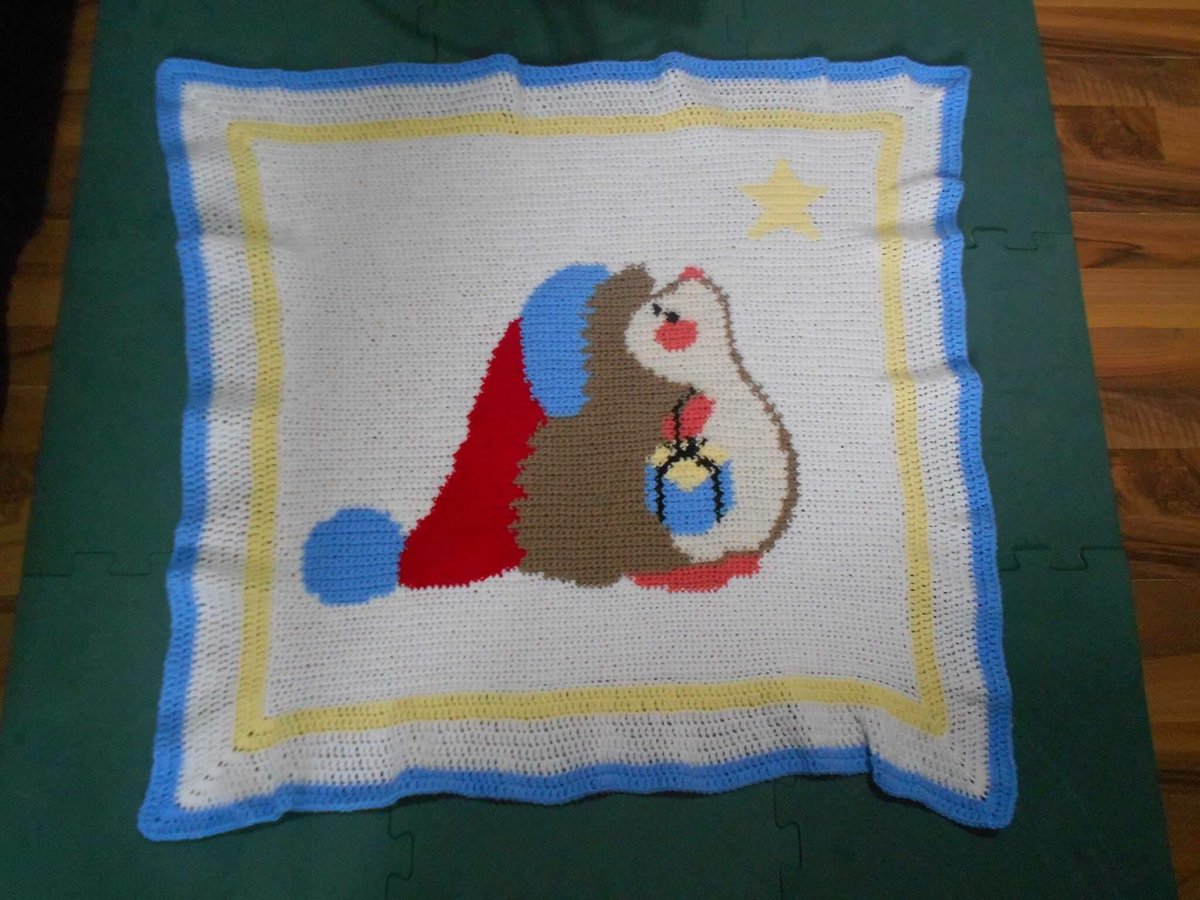 Anyone fancy bidding on this cute #handmade #hedgehog blanket? All proceeds help hedgehogs - full details facebook.com/wmhoglethero/p… #crafts