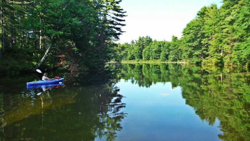 Fit Maine tweet media