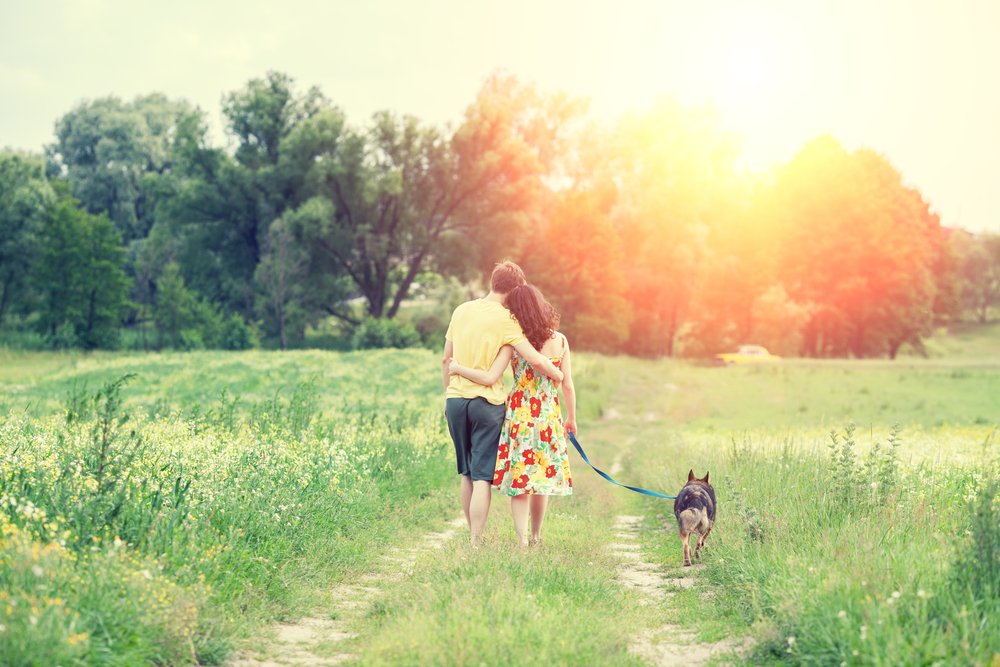 K9_consulting's tweet photo. Every dog needs to learn to walk on a leash. Introducing your dog to the leash young can help to set up the habit for a lifetime. https://t.co/6AcKMCfxZe