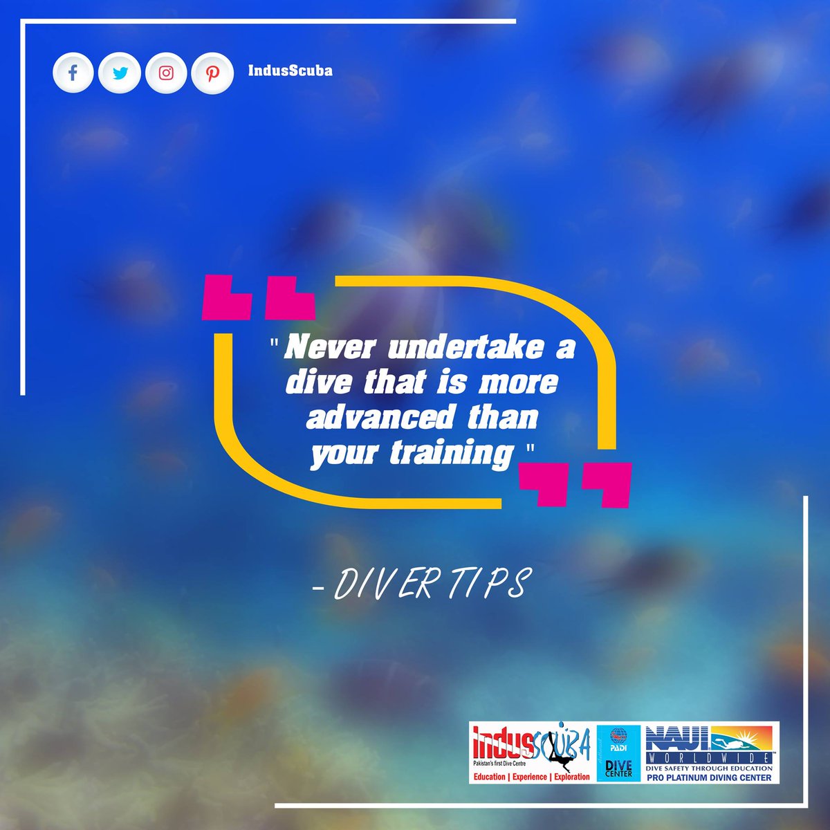 Indusscuba_Pk's tweet photo. Pakistan's 1st & Only #NAUI PRO Platinum Facility and #PADI Dive Center.
#IndusScuba #DivingTips #DiverTips https://t.co/bCz8a1eR89