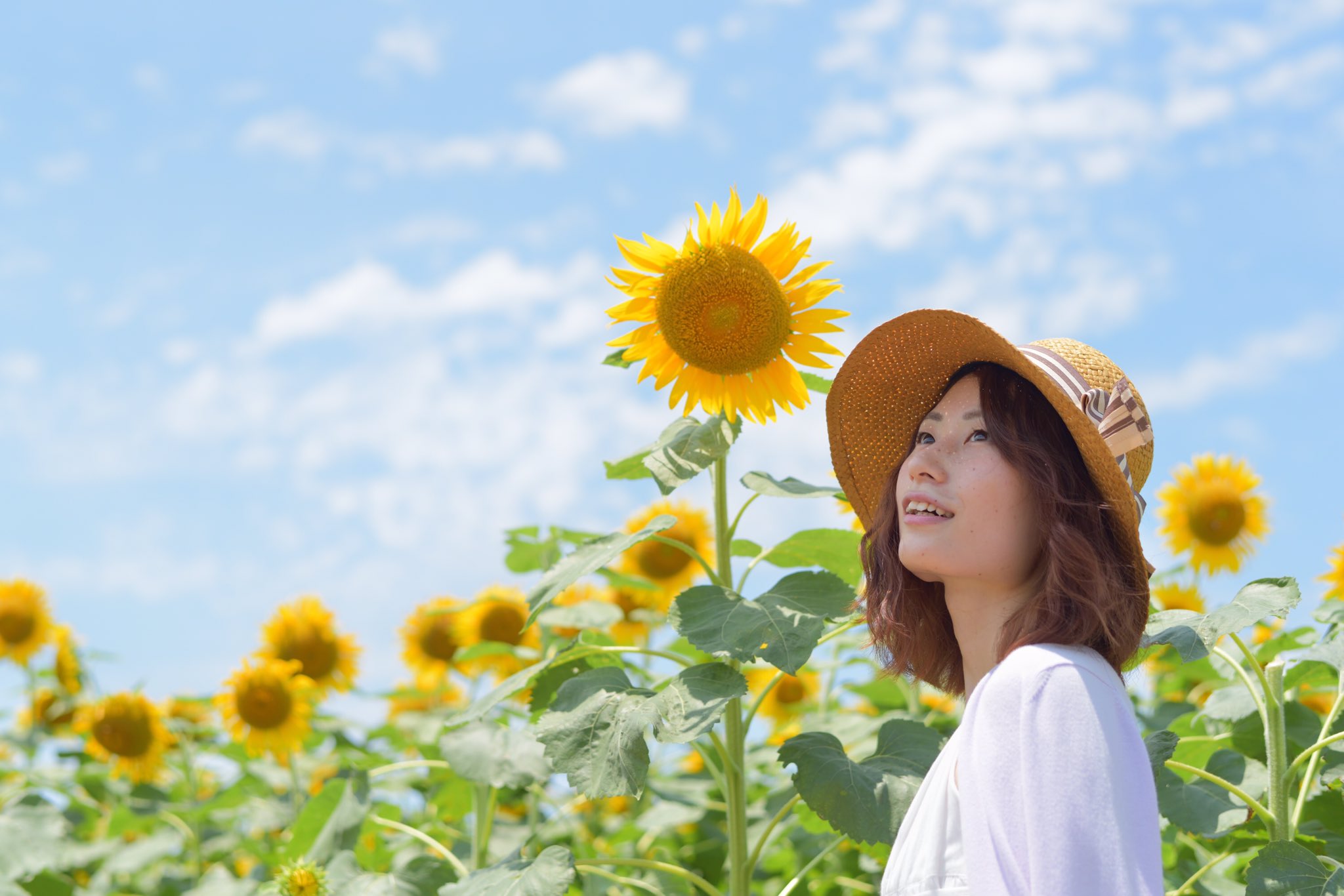 Chisato 撮影モデル依頼受付中 Twitter પર 7 23 撮影 カメラマン Ctug0005 ひまわり畑 ワンピース 麦わら帽子 ポートレート 撮影モデル 被写体 ファッション お洒落 Model 写真撮ってる人と繋がりたい 撮影モデル依頼受付中 福岡 久留米 北九州