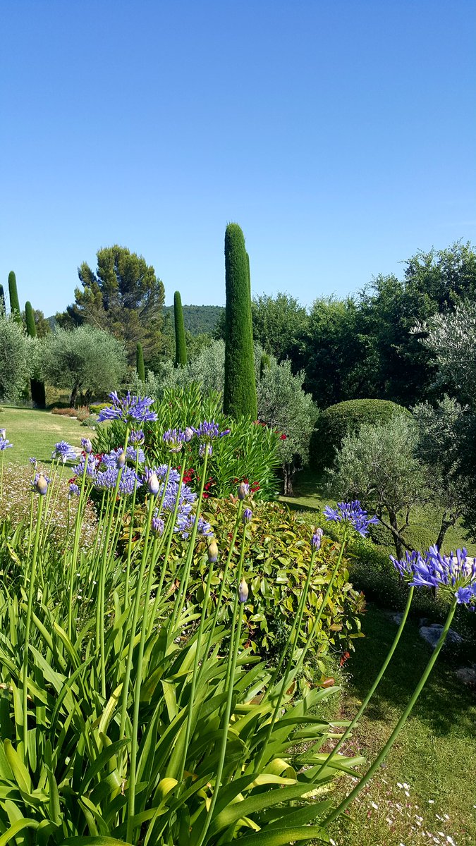 BDematteis06's tweet photo. #CotedAzurNow #lifestyle #jardin # landscapedesigner #golf #frenchstyle https://t.co/6gegswJXeB