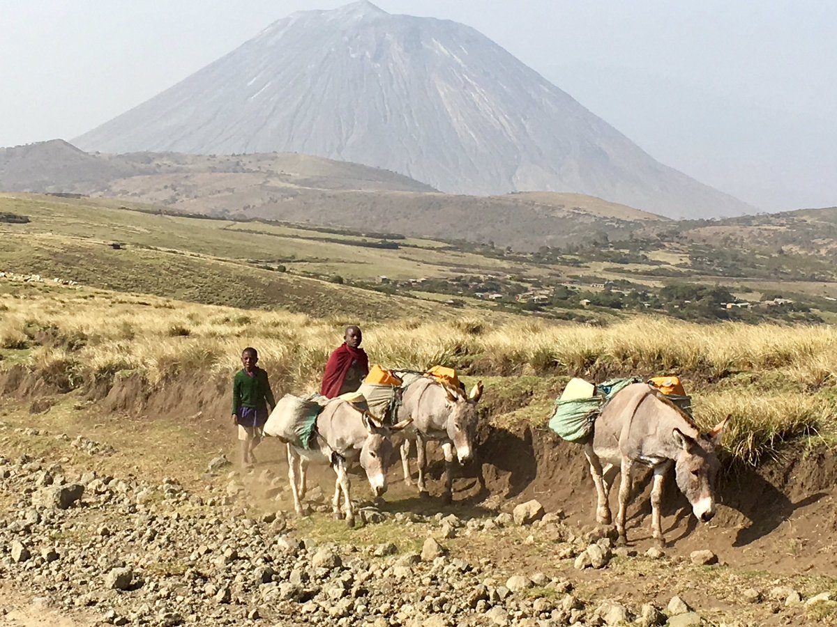 EllieHorrocks's tweet photo. Tanzania is spectacular- hike from Ngorongoro Crater through Maasai lands to Lake Natron and finally climbing Oldoinyo Lengai active volcano https://t.co/iJuVCTSuGz