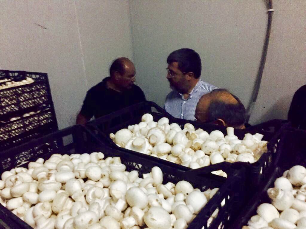 Dazkırı İlçemizde faaliyet gösteren mantar üretim tesisini ziyaret ederek, sektörün durumu ve çalışmalar hakkında bilgi aldık.