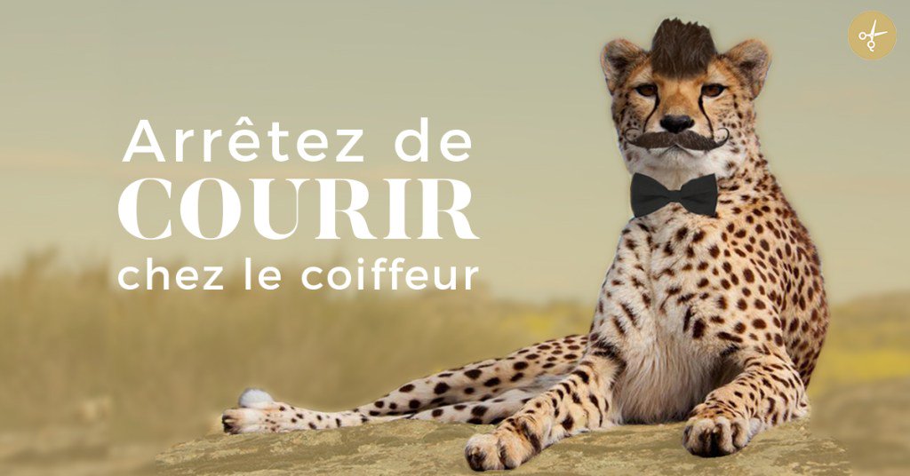 StartupInfoFr's tweet photo. Des solutions de #coiffure alternatives pour celles et ceux qui n'ont pas le temps ➡️ https://t.co/L8JwGYD1Fk #beauté #sudouest https://t.co/aeJQviwzDJ