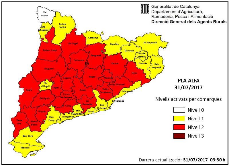 Bombers Piera tweet media