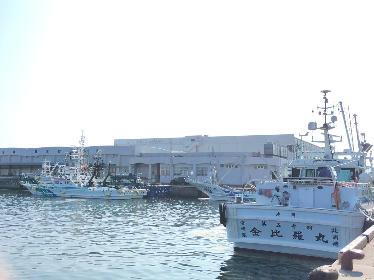 utdtky0905's tweet photo. 久しぶりに枕崎入港！
水揚げ、氷積み終わって7時出港！
金比羅おってかい
翔也兄、あき、将悟兄ちゃん
伊吹、かいと、大輝兄ちゃんやら
地元んもんに会えて元気もろた😎！！
クソあちぃけんど後10日気合いじゃー！
漁師の皆さん頑張りましょうかい！！ https://t.co/WCKCO4loXD