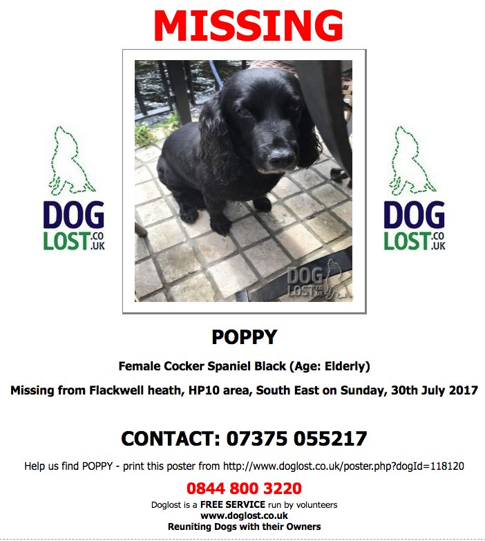 #LOST POPPY
Female #CockerSpaniel #FlackwellHeath #HP10 #Lostdog #ScanMe  doglost.co.uk/dog-blog.php?d…