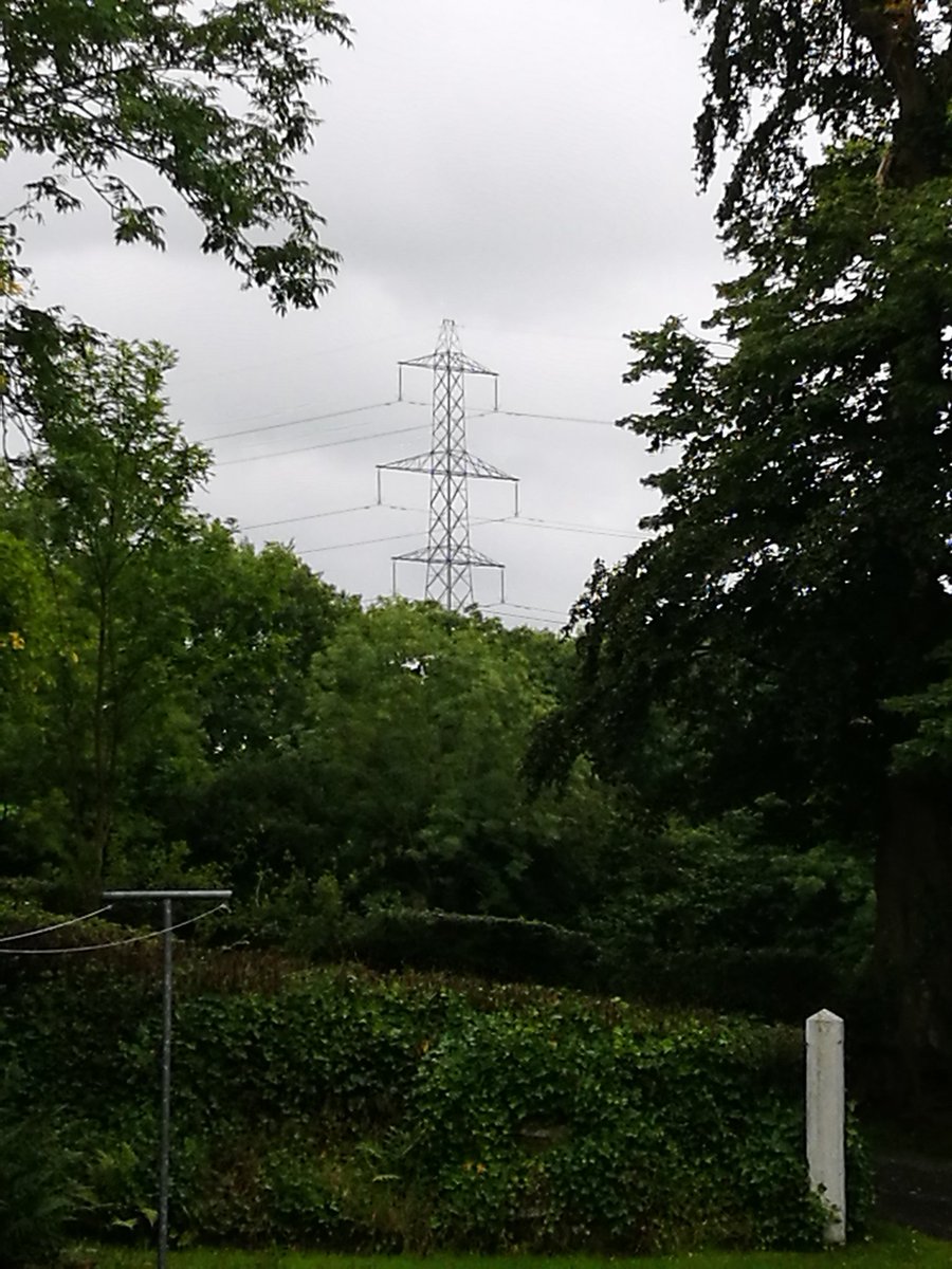 pylonofthemonth's tweet photo. Pylon near the house in Ballymena, Northern Ireland where we're staying for the week. Booked without even knowing there was a nearby pylon! https://t.co/BUpP2svg3q
