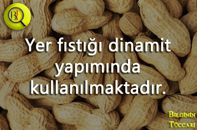 bilginintuccari's tweet photo. #pazartesi
Daha fazlası için takipte kalınız ve arkadaşlarınızı etiketleyiniz.👉👉 @bilginintuccari

#ilginçbilgiler #ilgincbilgi #bilgi https://t.co/SqJ1Z1gqFs