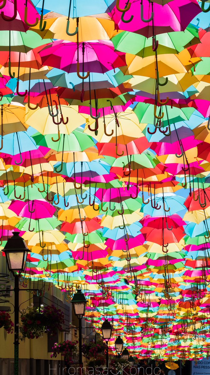 こんちゃん ポルトガル の小さな町アゲダで夏の間に開催されてる傘祭り 傘の量が凄すぎて 祭りというより傘の襲来だった