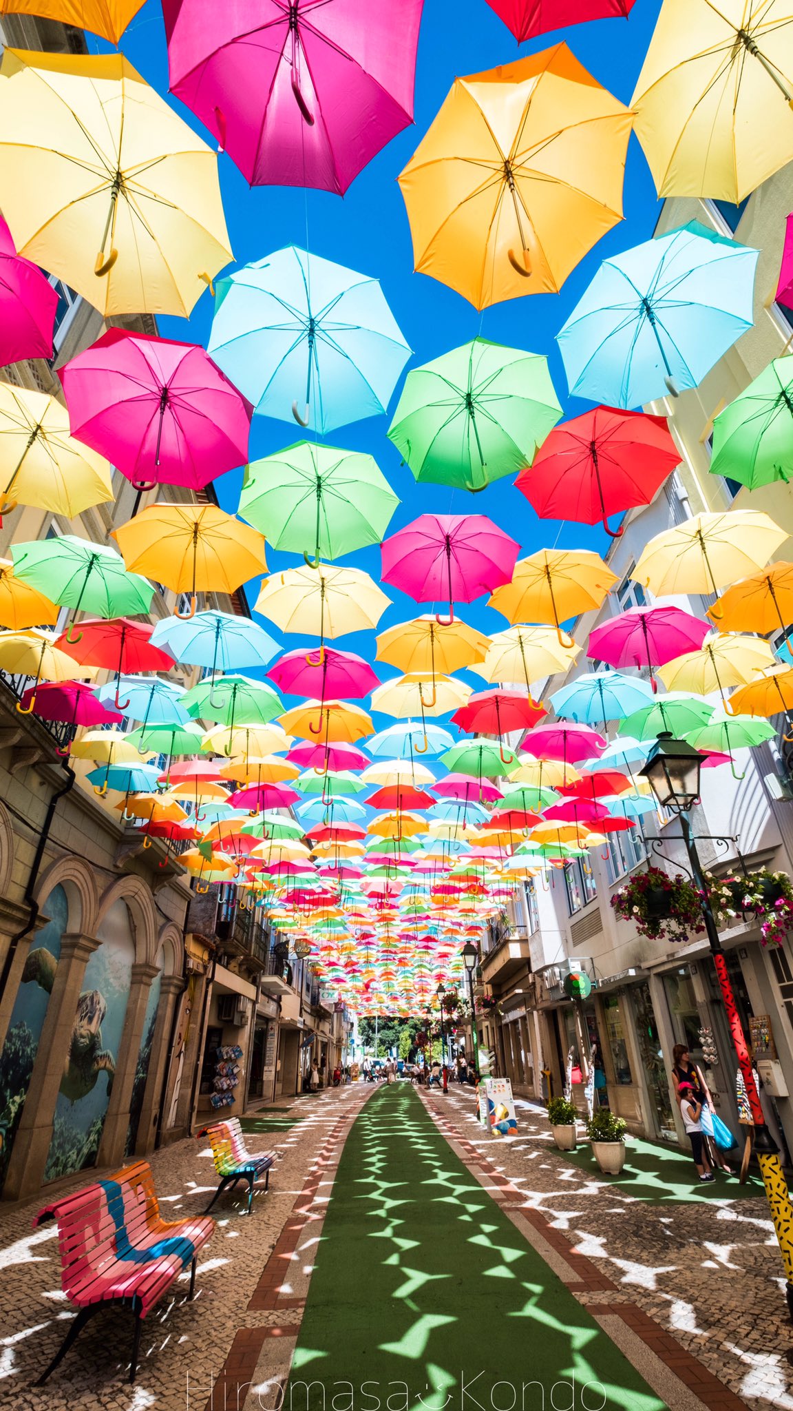 こんちゃん ポルトガル の小さな町アゲダで夏の間に開催されてる傘祭り 傘の量が凄すぎて 祭りというより傘の襲来だった T Co 3xr8r8pdqd Twitter