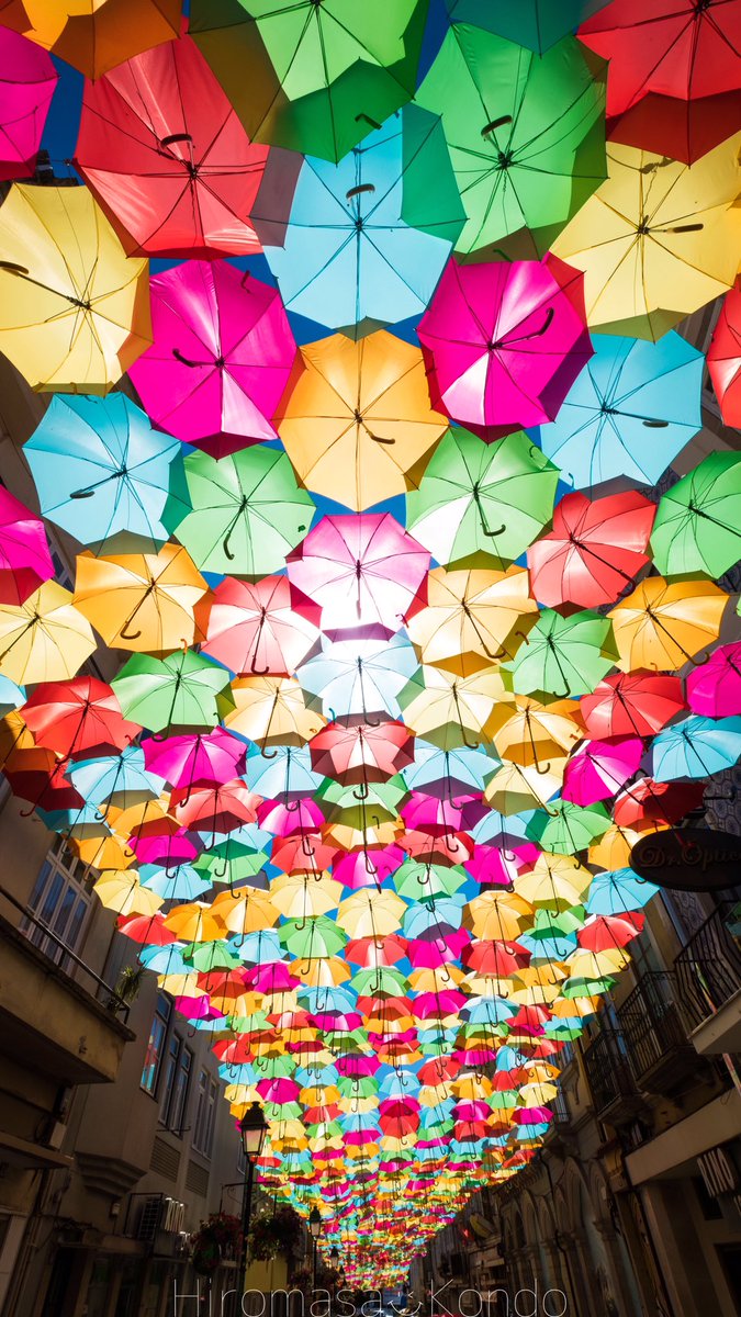 死ぬ前に一回は見に行きたい夏のポルトガル傘祭り 祭りというより傘の襲来 Togetter