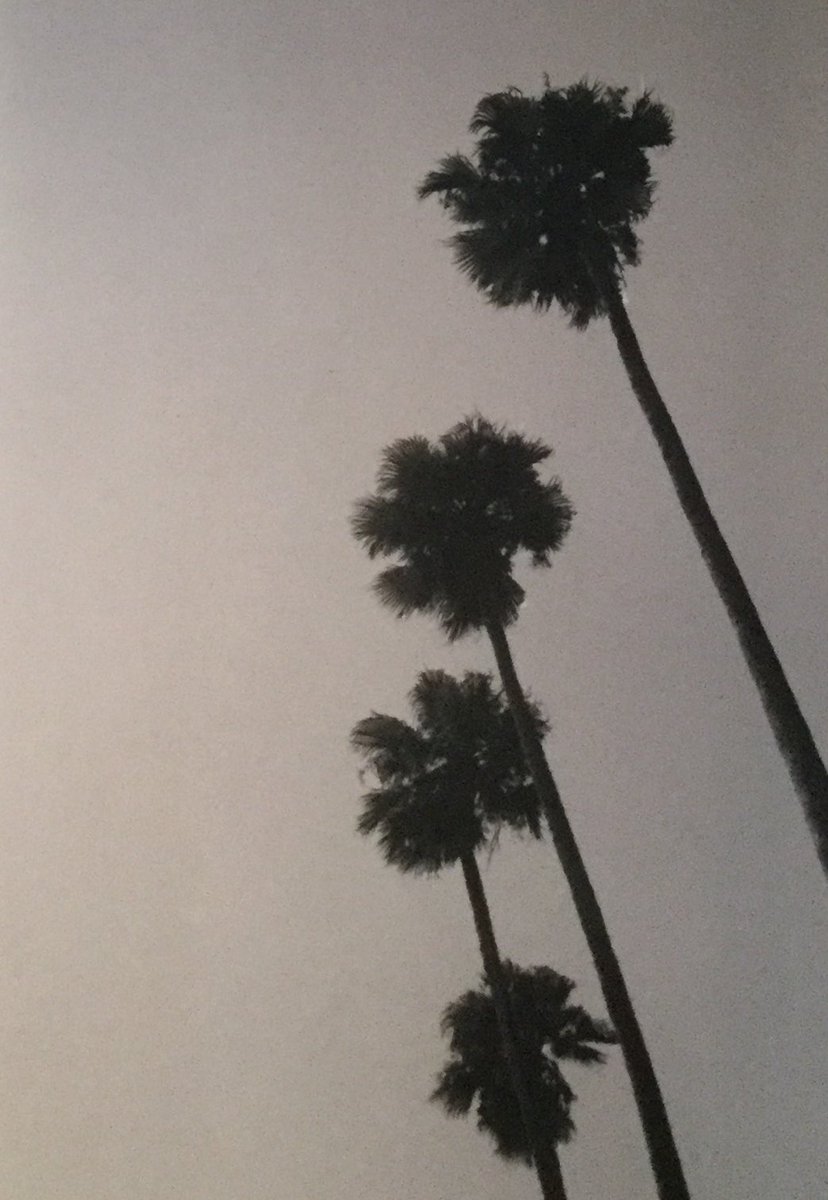 24PlanesTonight's tweet photo. starting your monday with some interesting experimental music? listen to the latest episode of 24pt podcast below

https://t.co/5y4r5xt6ao https://t.co/ZW0YfzMg9y