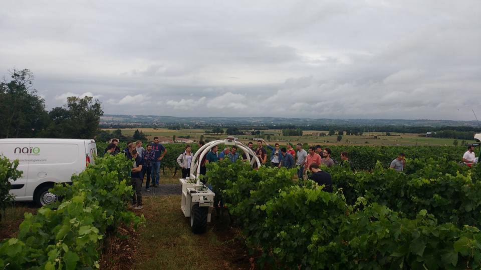 naiotech's tweet photo. 120 #viticulteurs découvraient le #robot TED le 20/07 à BRENS ! #désherbage au #vigne #ceps 🍇🍇🍇 https://t.co/QUzFIFIVPV
