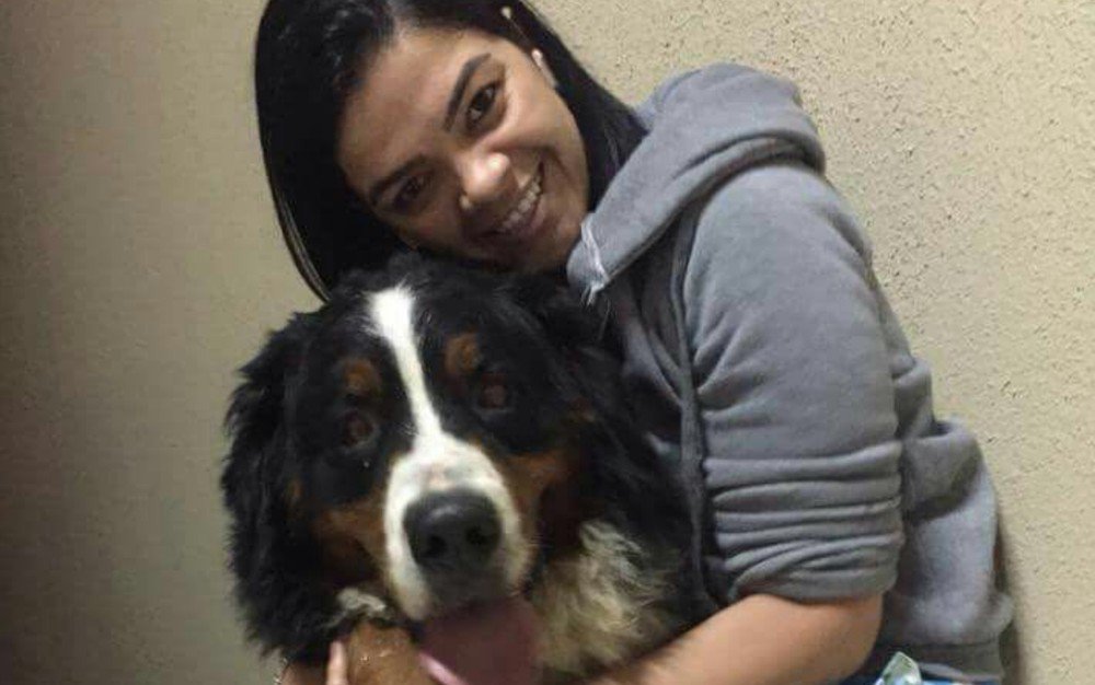 Fotógrafa vende copos customizados para pagar cirurgia para cão voltar a andar, em Goiânia glo.bo/2vaOTfm #G1