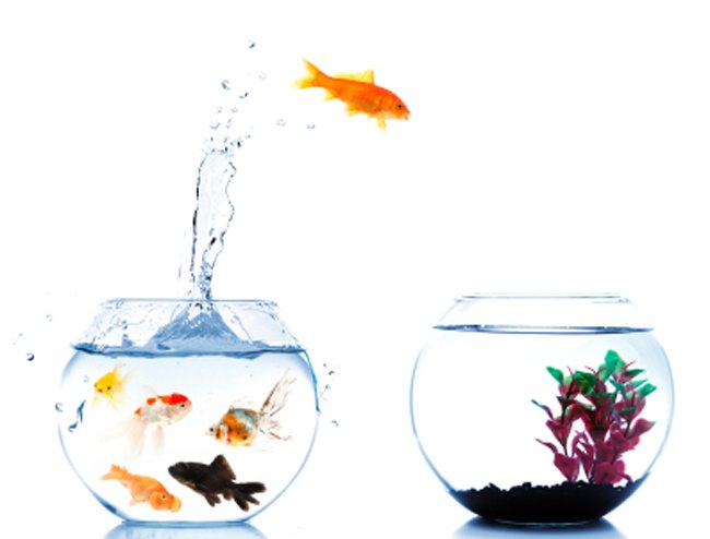 SignaGroup's tweet photo. KNOW THE RISKS RELATED TO EMPLOYMENT EQUITY...
Follow the link below to find out more..
https://t.co/h2Xbd0IuFY https://t.co/dlF7RVu8Oo