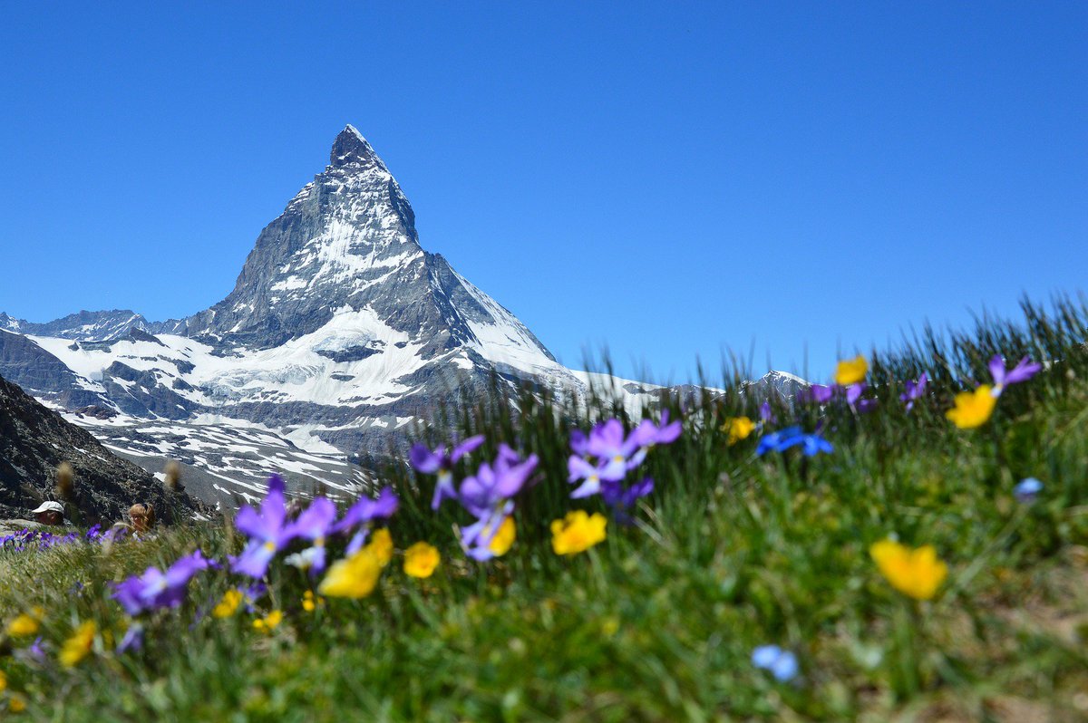 Tripeasel_'s tweet photo. #Matterhorn an iconic emblem of the Alps, has a little igloo village at its base. Visit #tripeasel plan a trip to this special place #travel https://t.co/Rb5Dvg11GQ