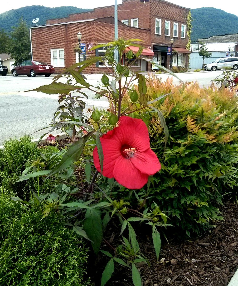 presidentsmith's tweet photo. His Ministries Buildings in the background. #BigStoneGap #SWVA #YouthPrograms #Prevention #SubstanceAbuse  #Addiction #RecoveryPossible https://t.co/ffr9IP2b5q
