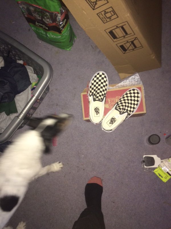 NicHandle's tweet photo. @tiegcn got new bumpers #vans #chequerboard #summer #toocool4skool @ResleeveEnvoy https://t.co/nPDnL8qcUK