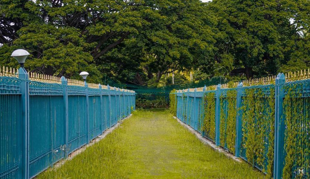 mpixl's tweet photo. #Lalbagh #greens #SoBangalore #ig_nature #bengaluru_nodi #mpixl https://t.co/4VveMcBsHU https://t.co/EZntB7cFAz
