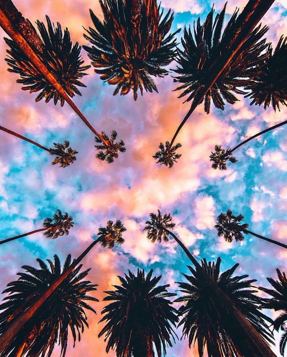Edibrazilian's tweet photo. #BomdiaBetas #TimBetaGrupoBr #TimBetaAjudaTimBeta #timBETA #timbetalab #missaoBeta
#OperacaoBeta #BetaLabs #beta #labs #timchip https://t.co/SLhLtIIQYW