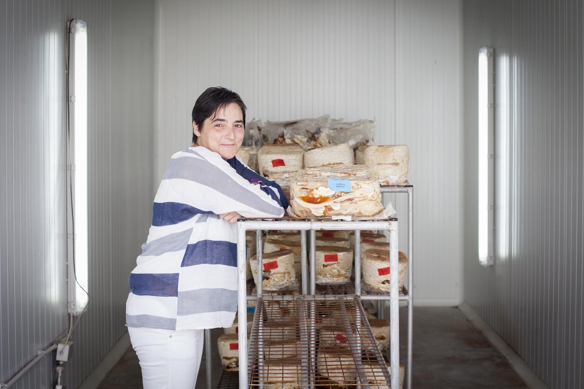 lariojacapital's tweet photo. "El futuro del #champiñón y las #setas va hacia un cultivo más diversificado y viable" Entrevista #CTICH en https://t.co/lMjafkq92m #LaRioja https://t.co/lyI2c0TvzN
