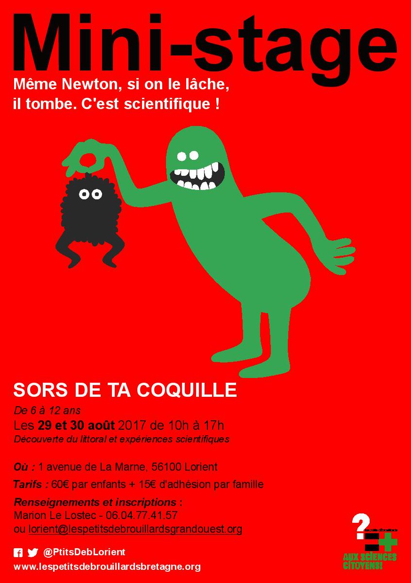 Petits Debs Lorient tweet media