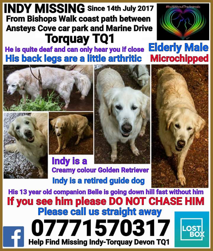 <a href="/thismorning/">This Morning</a> #helpisneeded 🙏🙏 #Indy retired guide dog needs our help now #missing #Torquay facebook.com/groups/8841316… #please #help 🙏