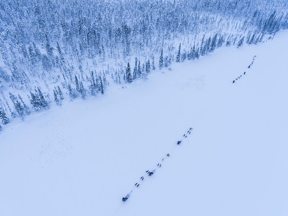 MagicOfLapland's tweet photo. Husky Safari from above. Dog teams happily travel up to 200km per day during Arctic races https://t.co/BHo4MJ3AoJ https://t.co/cSAB3k99L2