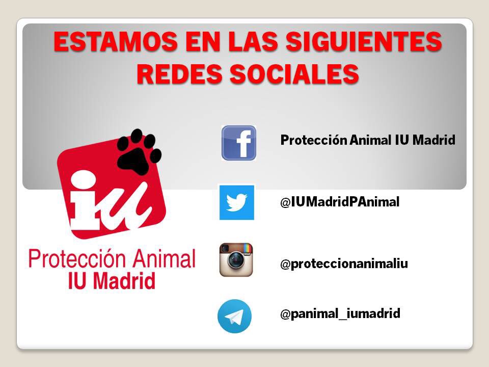 panimal_IUMadrid 🔻 tweet media