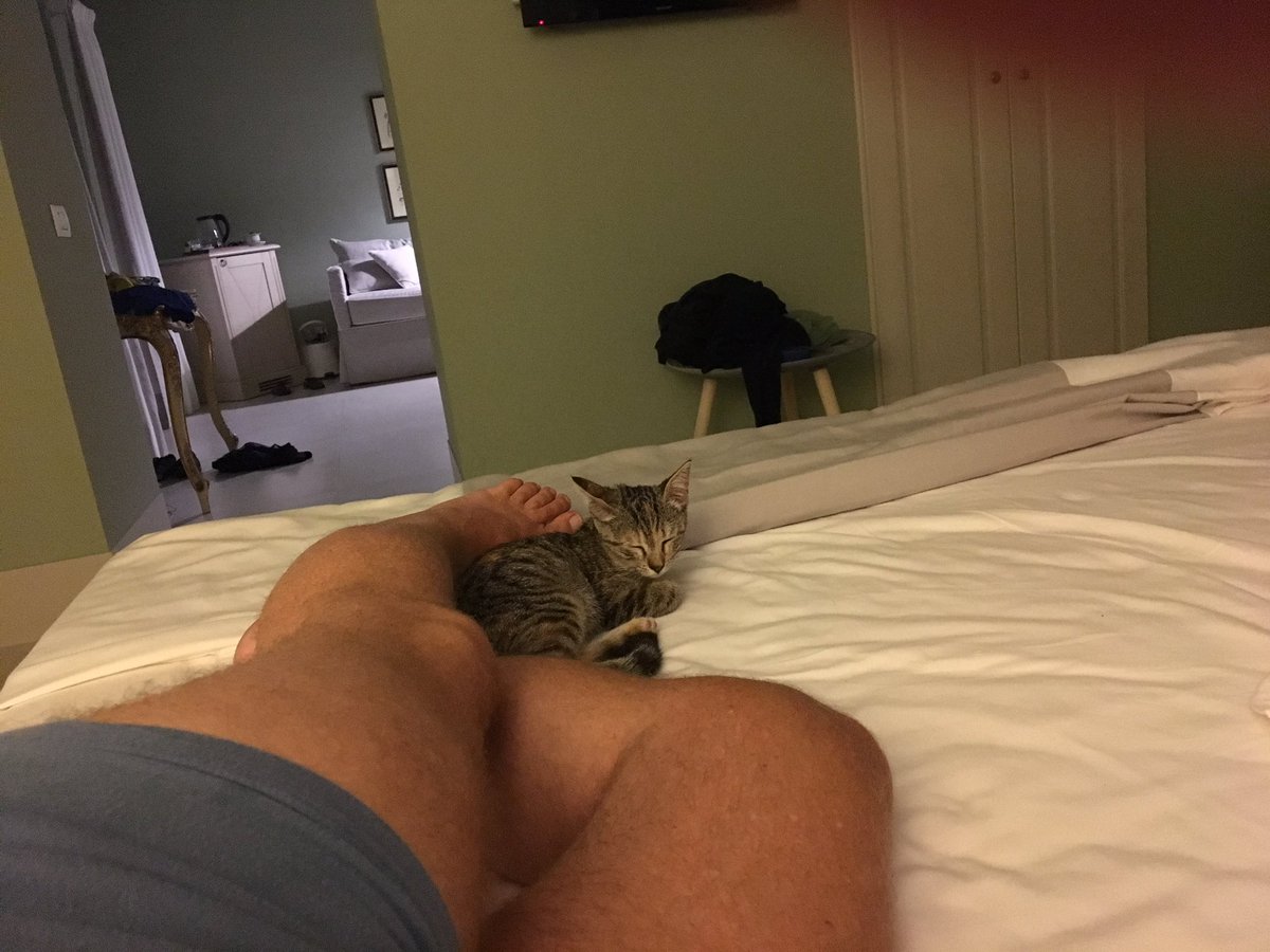 Bjheijne's tweet photo. Waarom altijd op de laatste dag van de vakantie? #indekoffer https://t.co/KujKZWxD16