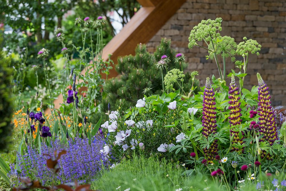 The_RHS's tweet photo. Set those alarms - 2018 RHS Shows tickets go on sale to RHS members tomorrow morning from 9am! https://t.co/F4FZficgC9 https://t.co/UsidwsVWKp