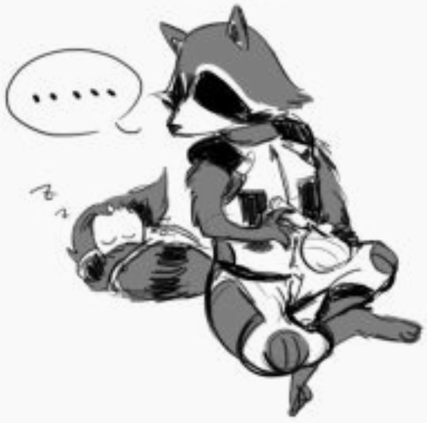 Rσcкєт Rαccσση (@dfuckingraccoon) on Twitter photo 