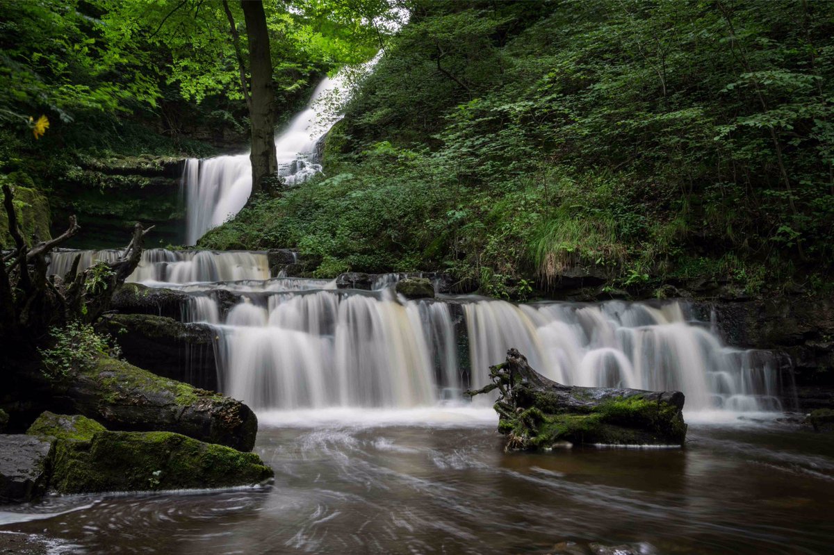NorthernLensUK's tweet photo. Here is Scaleber Foss from Saturday, deep in the beautiful Yorkshire Dales #WexMondays #fsprintmonday #greatyorkshire #ThePhotoHour https://t.co/Q7leRVVDCy