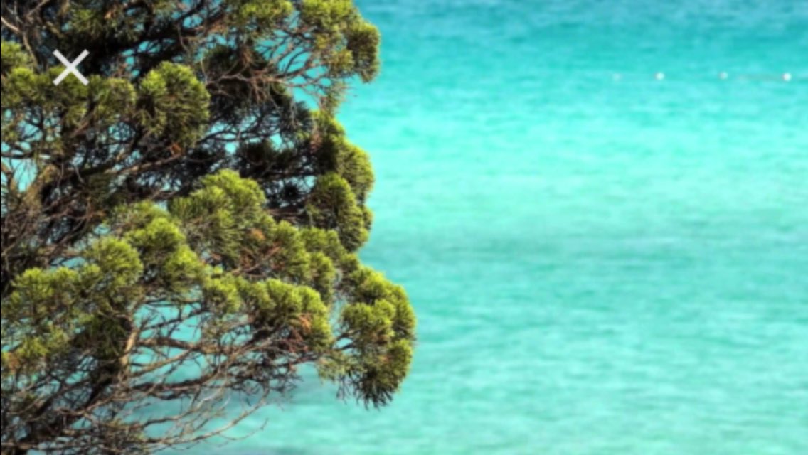 RitaSofiale's tweet photo. 🌴🐬🌴Buongiorno!!! Anche questa è #Sardegna🐬🌴🏝 https://t.co/AUjzvB2mnd