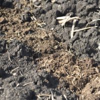 wifarmdude's tweet photo. CREP Window Opens For Wisconsin Farmers And Land Owners Until September 30th https://t.co/ci9IwqXzHJ https://t.co/of0MWbRPjj