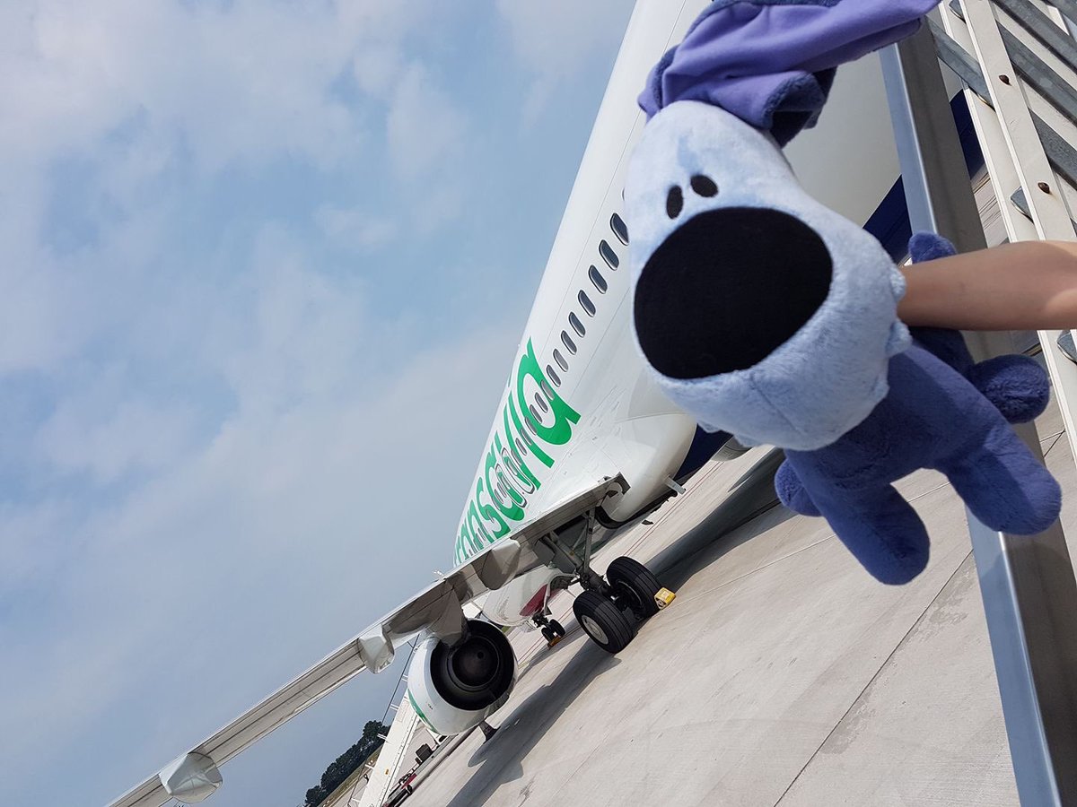BarbaraStam's tweet photo. @transavia Help! Zoon is dodag op vlucht Split-R'dam knuffel onder stoel vergeten. Aankomst ca 22:30u. #Verdriet AirPort niets gevonden... https://t.co/JRWaonTOOq