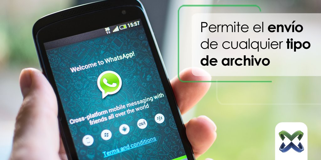 exodata_jbp's tweet photo. whatsapp permite el envío de cualquier tipo de archivo https://t.co/St4qudg46O
#TeamExodata #diseño #tecnología #imagen #Motivación #aliados https://t.co/MzSjCptY1q