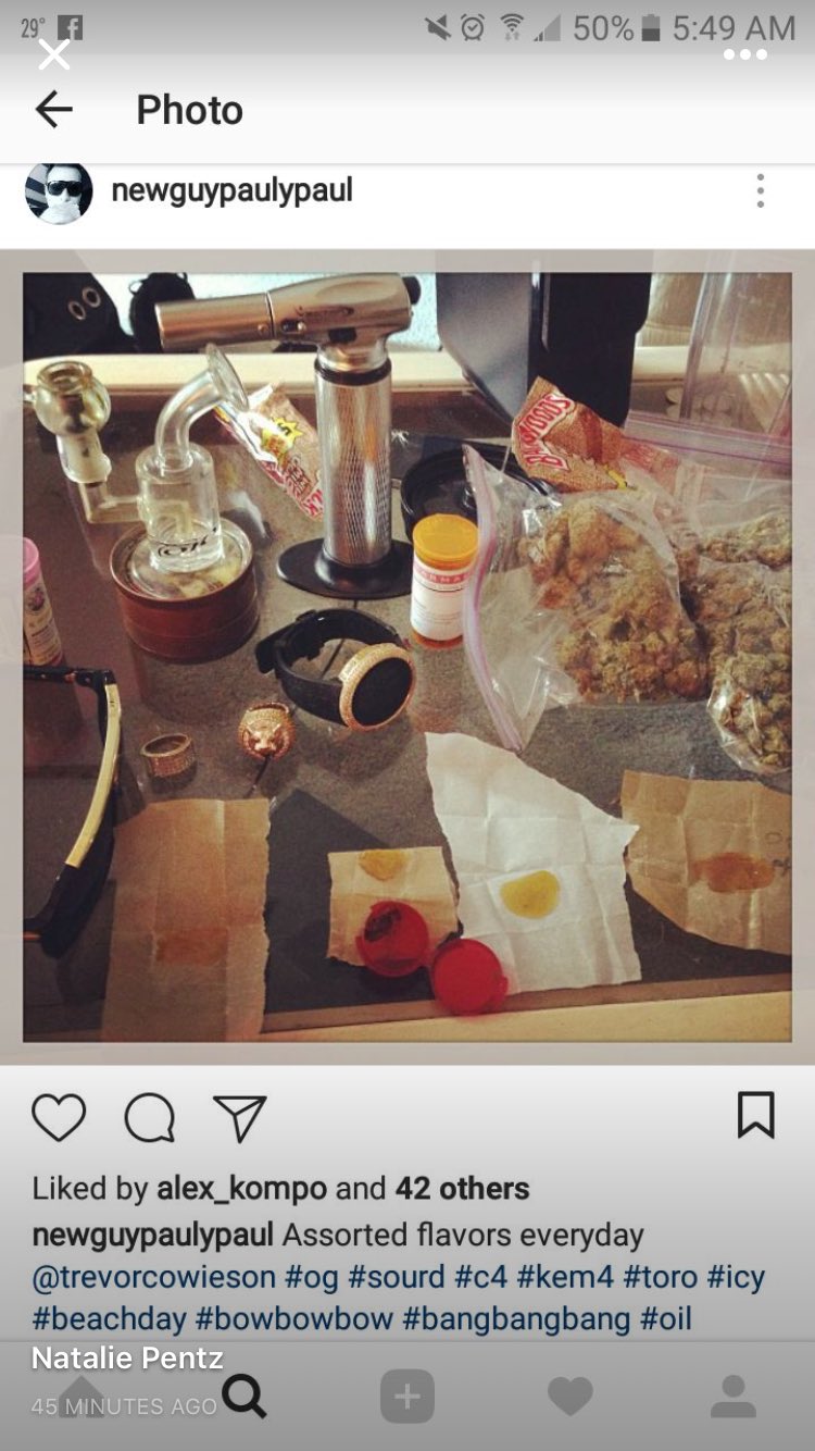 Matt Gregg on X: So Pauly lives with Alex kampos right. Is this leadership  by example? @MTV @MTVNews @SiestaKey t.cozddJSpbCpm  X