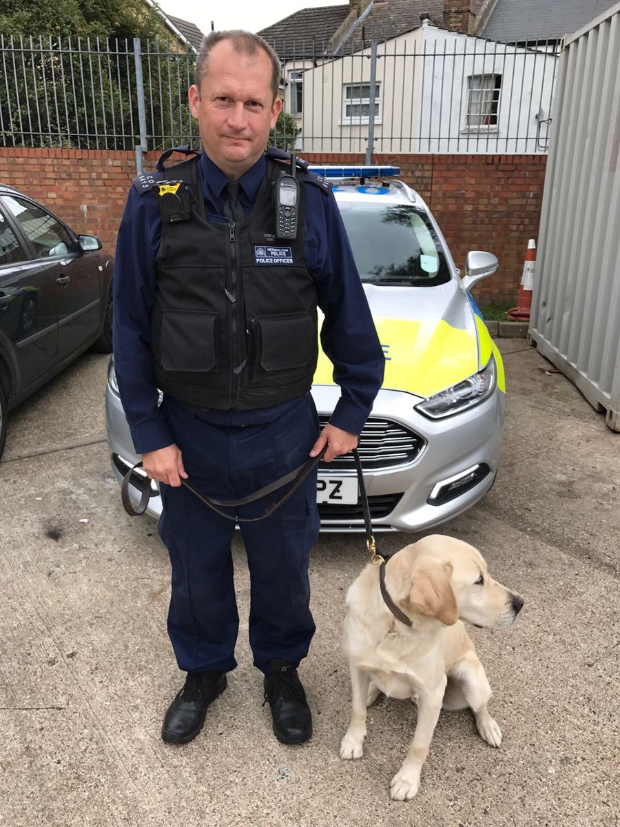 What Gcses Do You Need To Be A Police Dog Handler