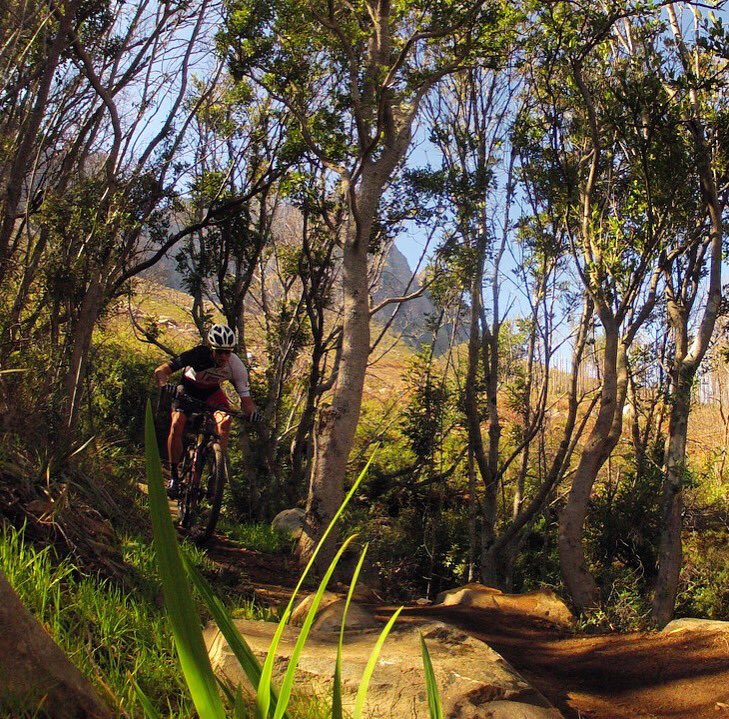 RockyMountainZA's tweet photo. Hope your week started the right way? #rockymountain #element #mtb #rockymountainbicycles #gopro https://t.co/PcCATf3zM2