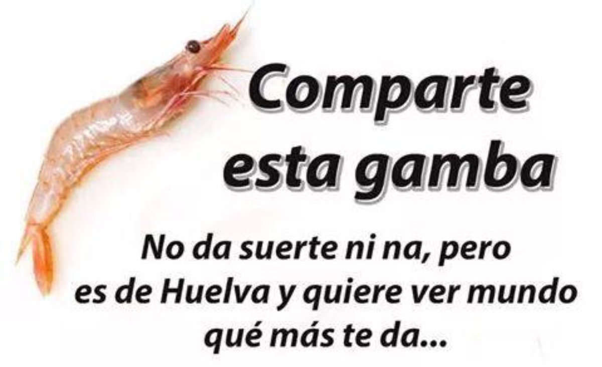 El Monaguillo 🍆 tweet media