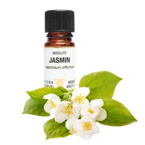 AmphoraA's tweet photo. We stock a range of Precious &amp; Absolute Oils! #naturalbeauty #aromatherapy #perfumery #absoluteoils https://t.co/TLfCxZKtdG https://t.co/j4tCF8xHZ9