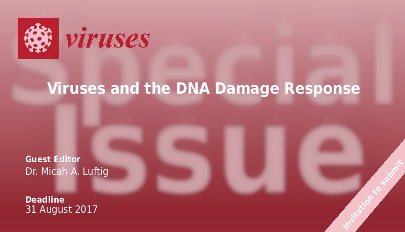 VirusesMDPI's tweet photo. Open for submission until August 31 the #SI on "Viruses and the DNA Damage Response", guest edited by @mluftig https://t.co/3aYd2CaJ6v https://t.co/UzVuSrMz3k
