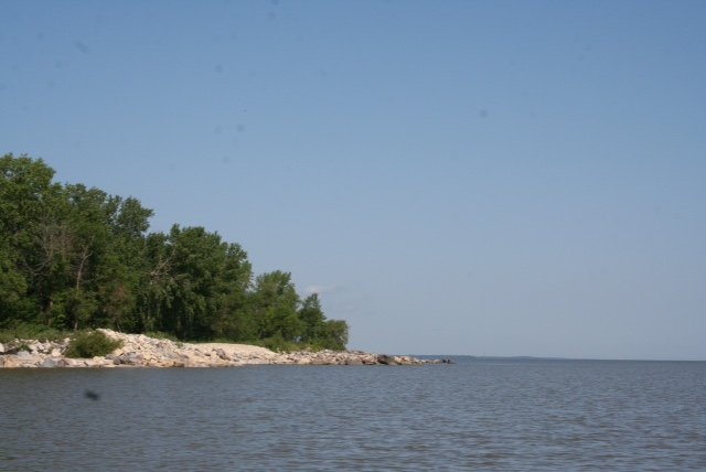 AlanLagimodiere's tweet photo. Took a boat tour of #netleylibaumarsh. Critical filter for #redriver water entering #lakewinnipeg #mbpoli #cdnpoli https://t.co/OJBHrBZSyp https://t.co/tORHLSOwBO