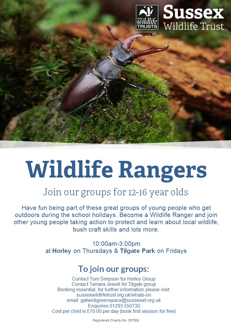 There's still places to join our #WildlifeRangers in both Horley and Crawley this summer. don't miss out! #everychildwild #bushcraft