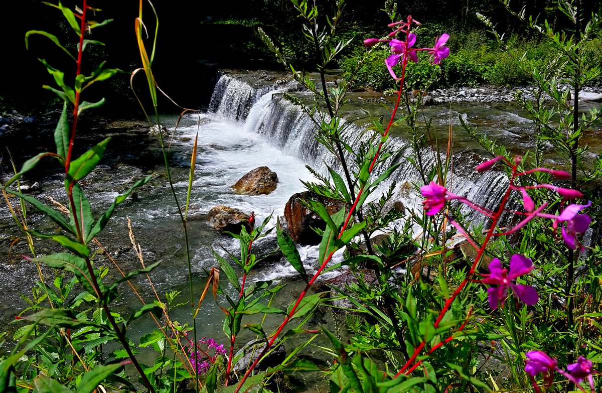 #ScappoA guardare e ascoltare #CerteDelizie della natura in #Valtellina
#SummerinLombardia
#istantaneeDa Valdidentro #500pxrtg #scrivolandia